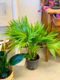silk-arrangements12