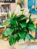 silk-arrangements07