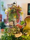 decor3