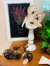 decor10